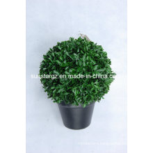 Plastic PE Artificial Plant Mini Boxwood Ball with Pot for Decoration (45538)